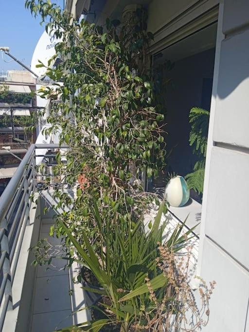 Apartament Georgia'S House Ateny Zewnętrze zdjęcie